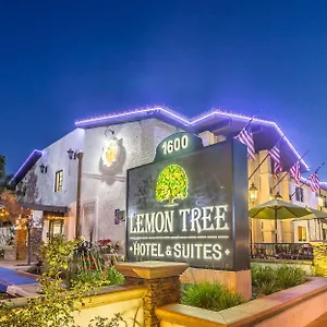 Hotel The Lemon Tree